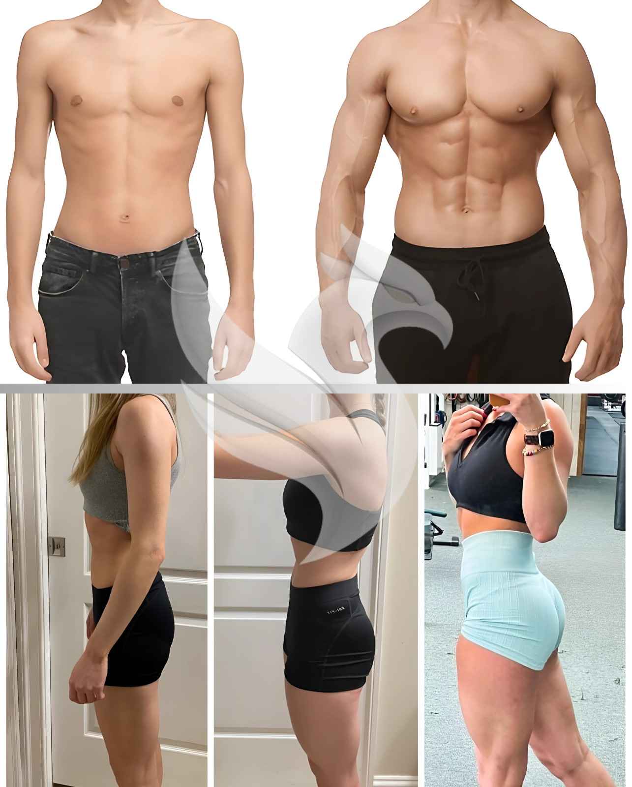 Weight Gain & Bulking Up